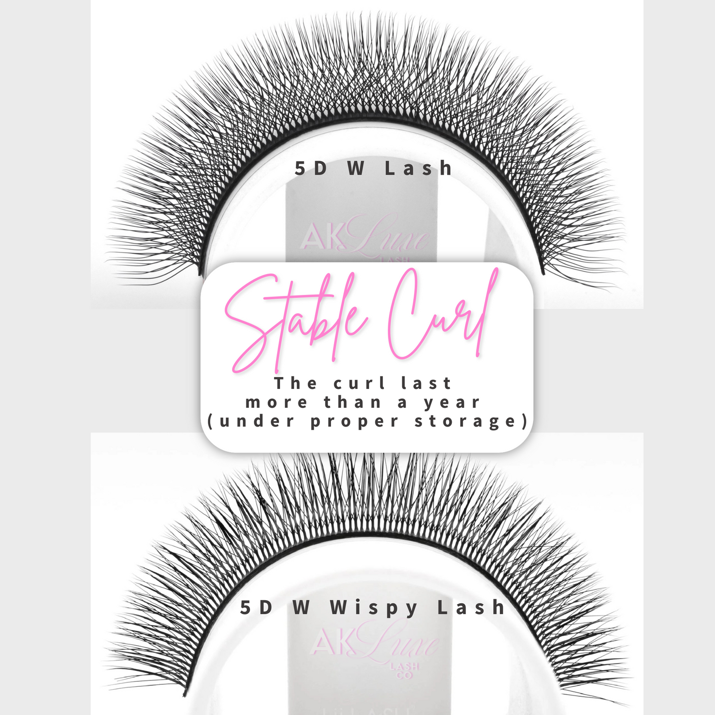-NEW- 5D W | Wispy Fairy Lash Trays 5D W