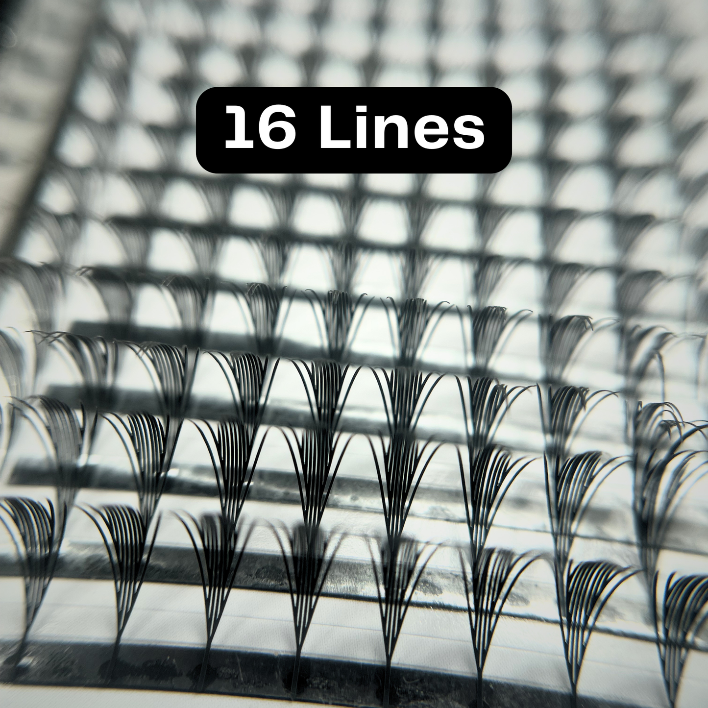 Comic Wing Anime Manga Lashes | 0.05 CC Curl 8-15mm Mixed Trays