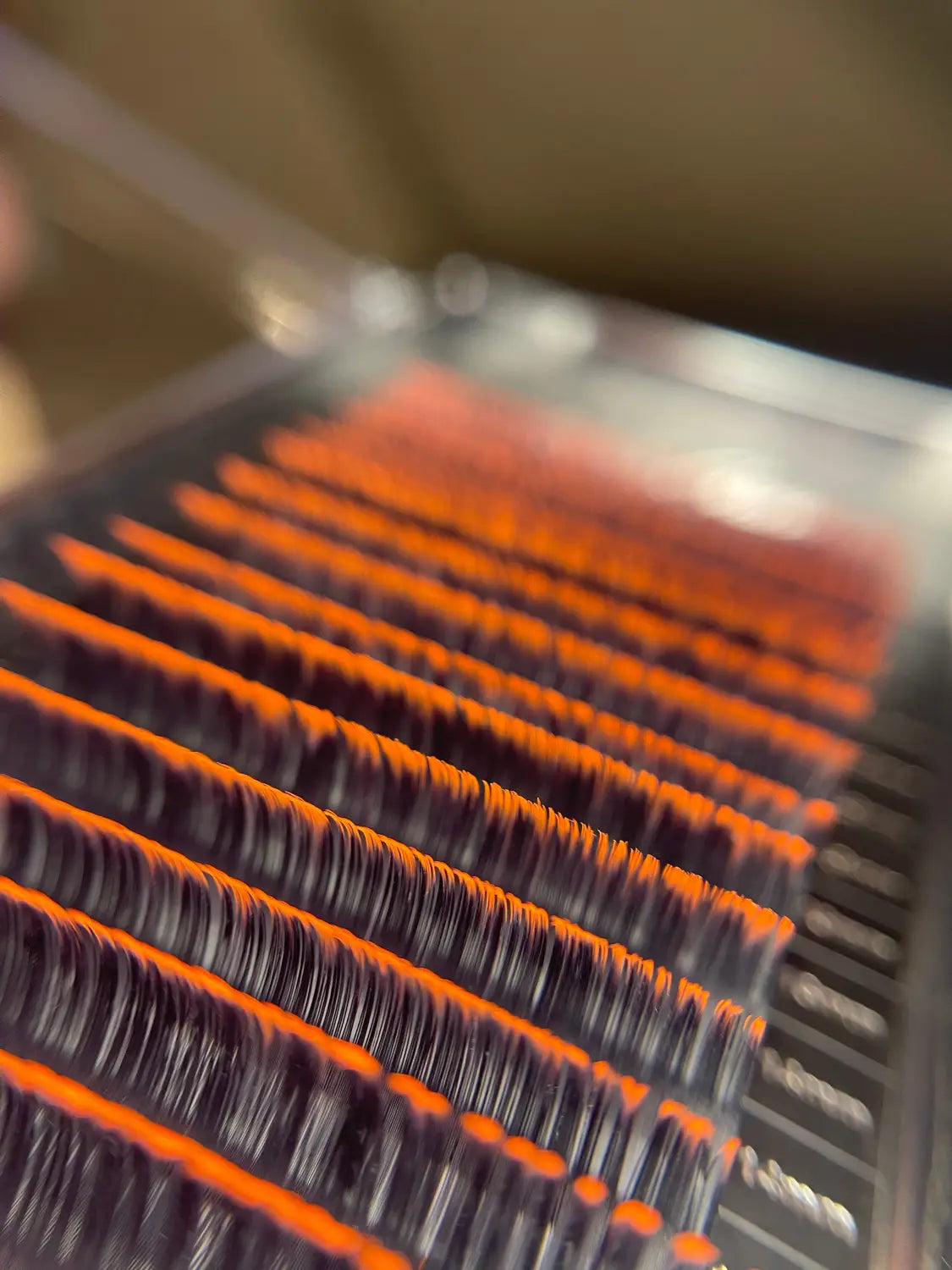 Ombrè Volume 0.05 CC 12-15mm Mixed Tray - black to orange - AK Cashmere Lash Trays