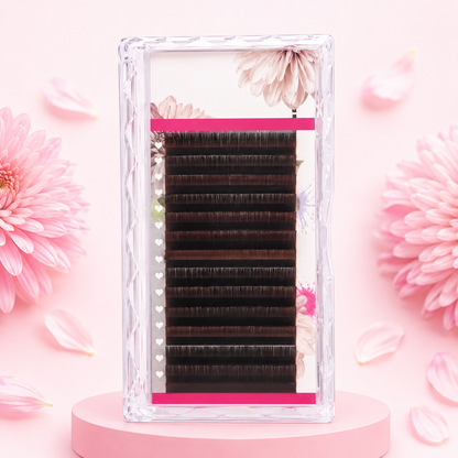 Multi-Shade Color Lash Extensions – 0.03 CC Curl | Gradient Color Collection (16 Rows)